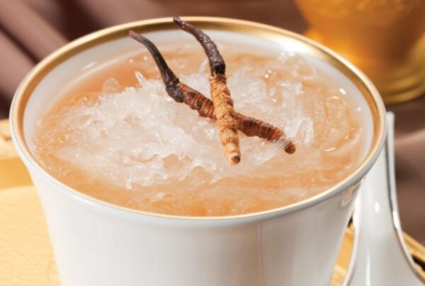 Đông trùng hạ thảo vào yến sào là dược liệu quý hiếm